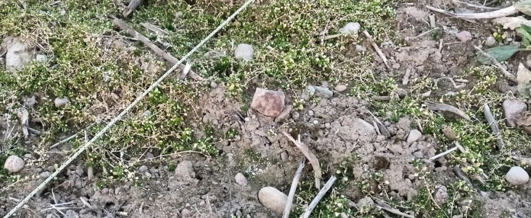 Znalazł meteoryt Pułtusk bez wykrywacza