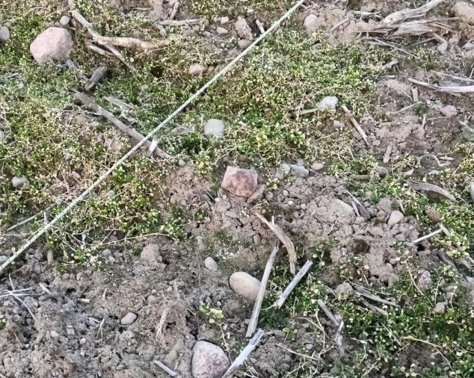 Znalazł meteoryt Pułtusk bez wykrywacza