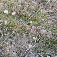 Okaz meteorytu Pułtusk odnaleziony "gołym" okiem przez Janusza Kosmowskiego Meteoryt Pułtusk - marzec 2026