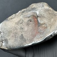 Okaz po oczyszczeniu z ziemi / fot. Szymon Kozłowski Zadzim po oczyszczeniu