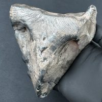 Okaz po oczyszczeniu z ziemi / fot. Szymon Kozłowski Zadzim po oczyszczeniu